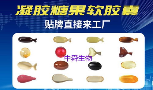 中舜生物 如何選擇高品質益生菌OEM伙伴，一站式服務守護食品安全與營養